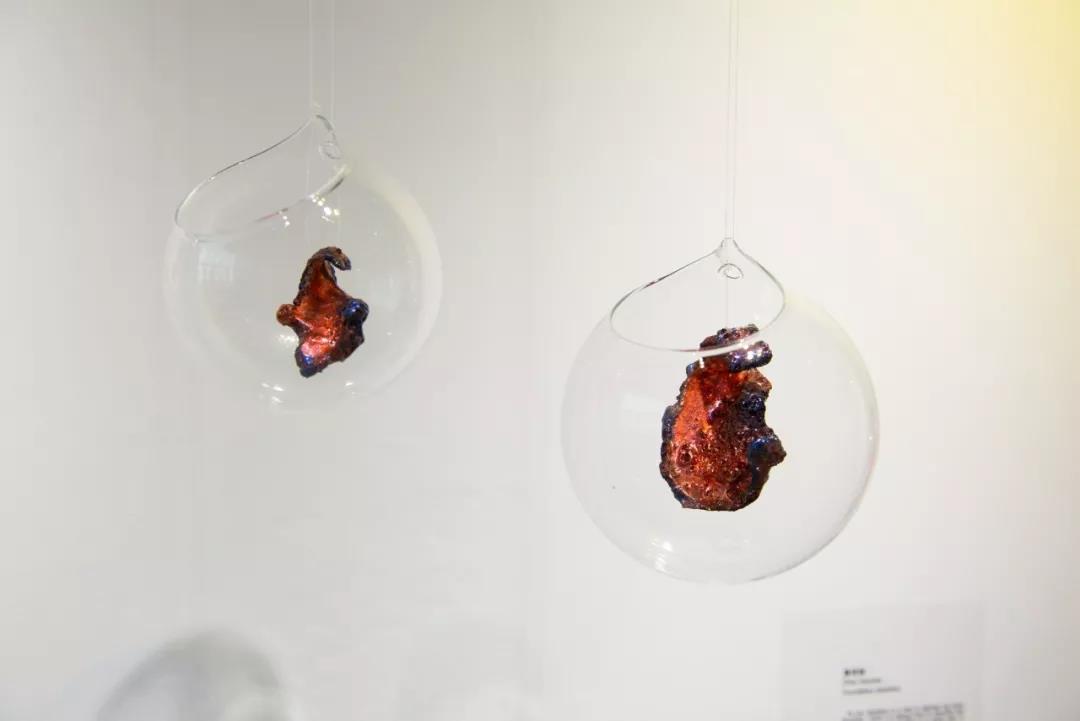 展廳現(xiàn)場(chǎng)