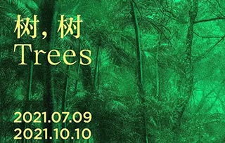 AIVA Guide | 高溫來襲，我們在美術(shù)館避暑，7月好展推薦