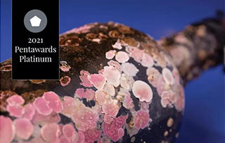 2021年“包裝設計奧斯卡”揭曉，全球最佳的8款作品長什么樣？