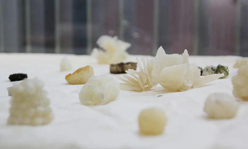 AIVA預科期末考現場