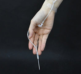 高名妍 首飾設計 本科預科