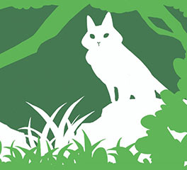 沈姝含 插畫設(shè)計 本科預科